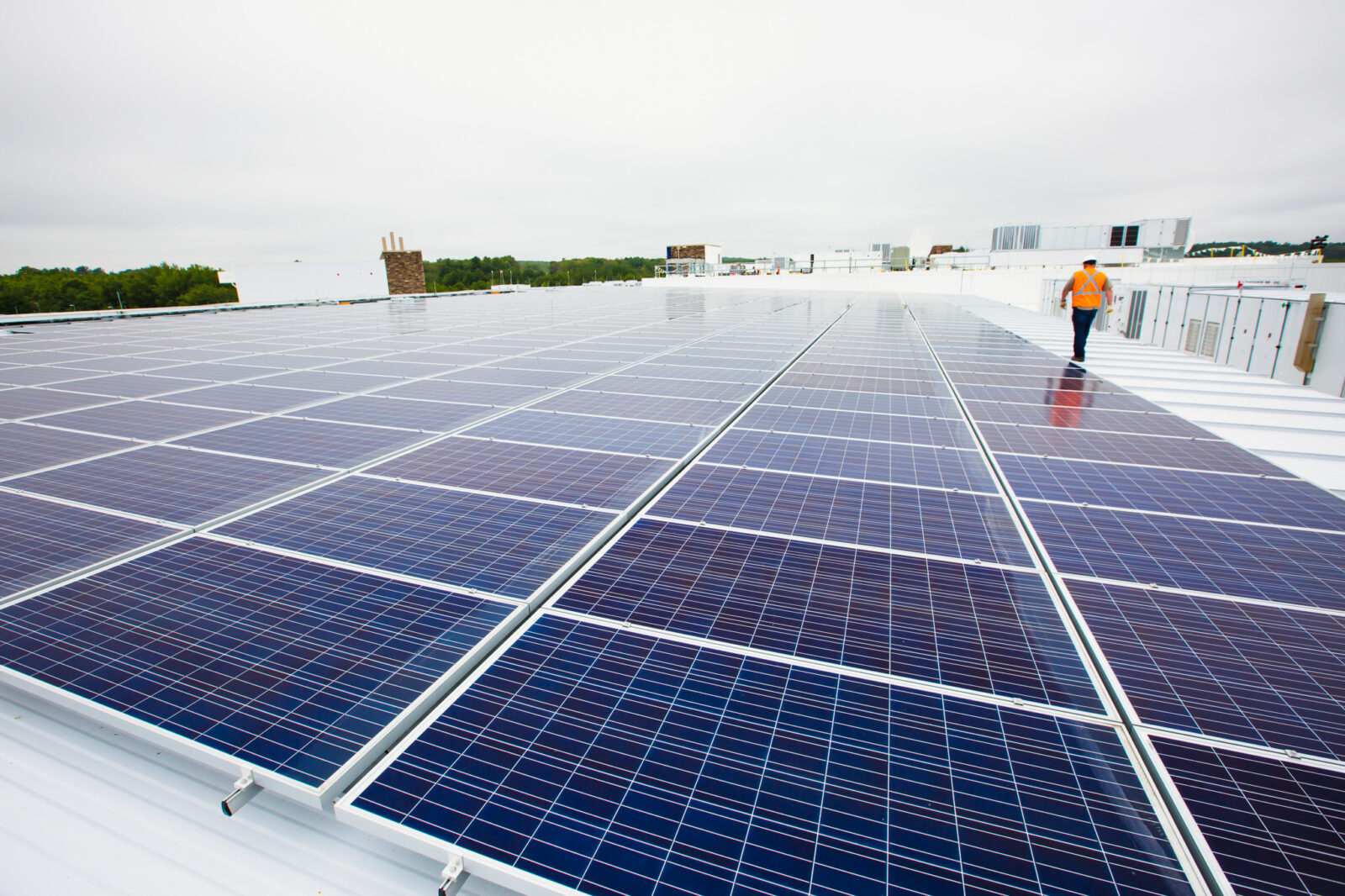 Flat rows of solar panels