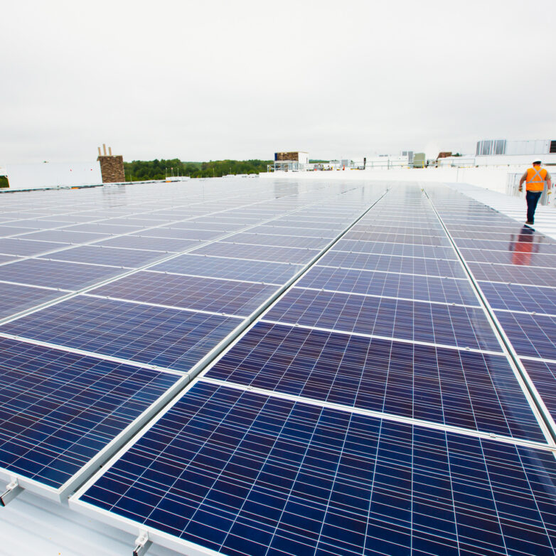 Flat rows of solar panels