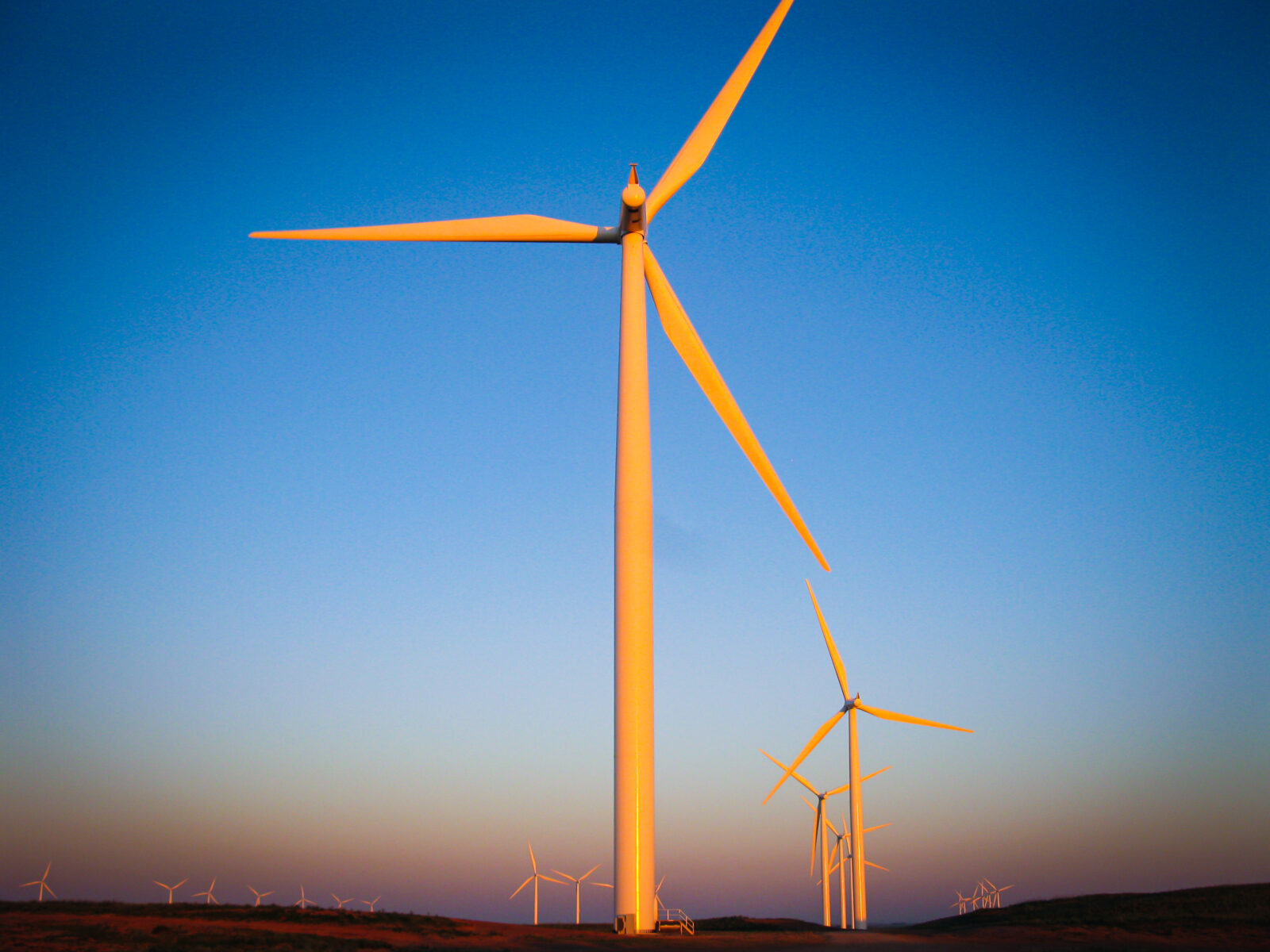 Field of wind turbines during sunset