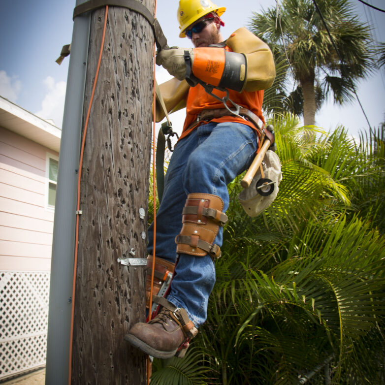 Harlan construction worker harnessed on utility pole
